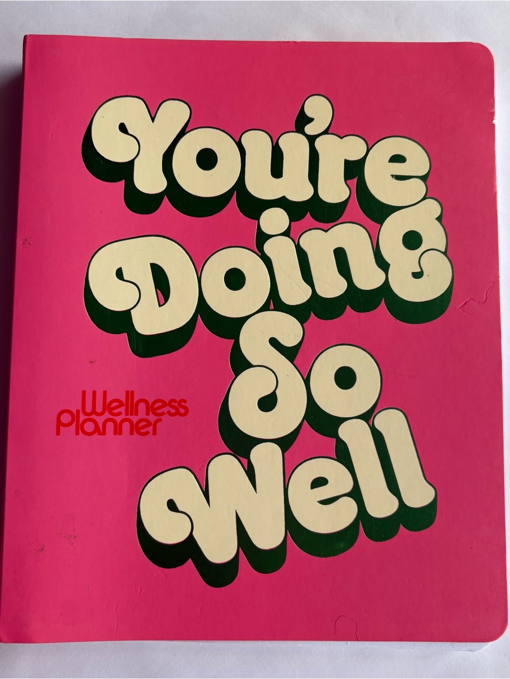 'You're Doing So Well' Wellness Planner Journal